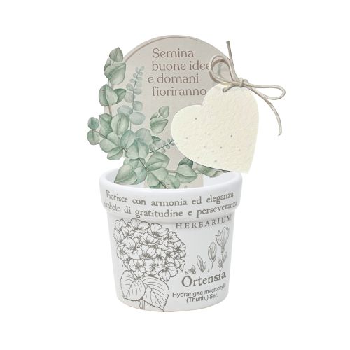 Cachepot "ortensia" + carta piantabile - 2 pz.