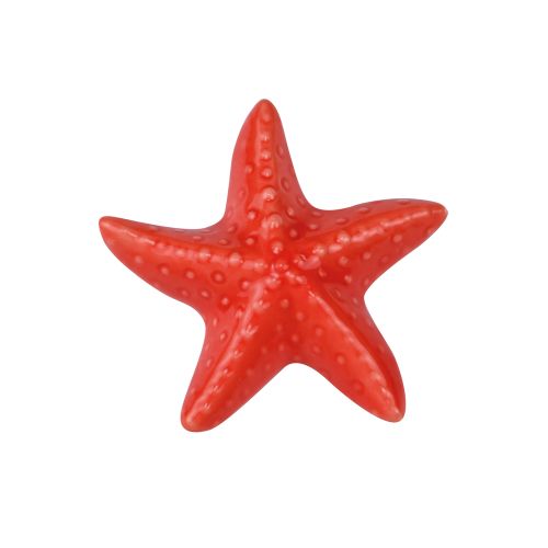 Magnete stella marina - 4 pz.