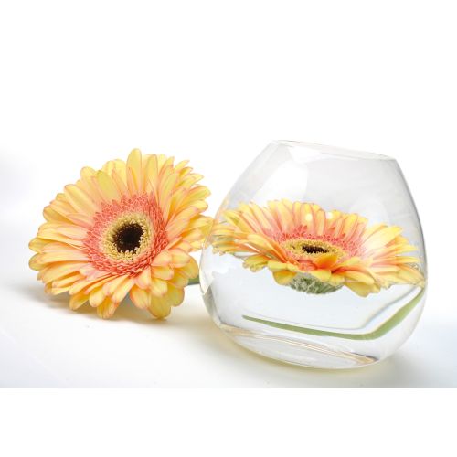 Candeliere vetro trasparente /oro con bacche e pigne