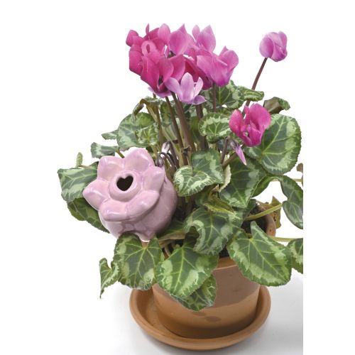 Fiore autoirrigante in ceramica colore lilla - 2 pz.