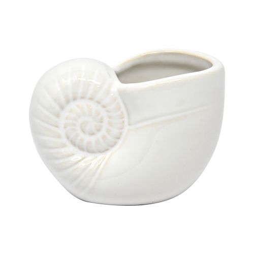 Conchiglia cache pot bianco - 2 pz.