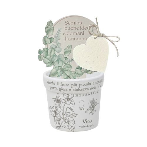 Cachepot "viola" + carta piantabile - 2 pz.